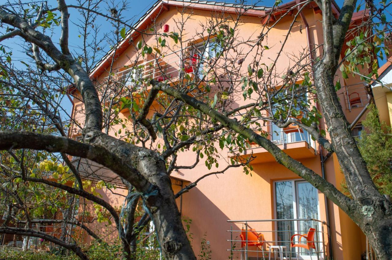 Băile Felix 卡梅纳旅馆酒店 外观 照片
