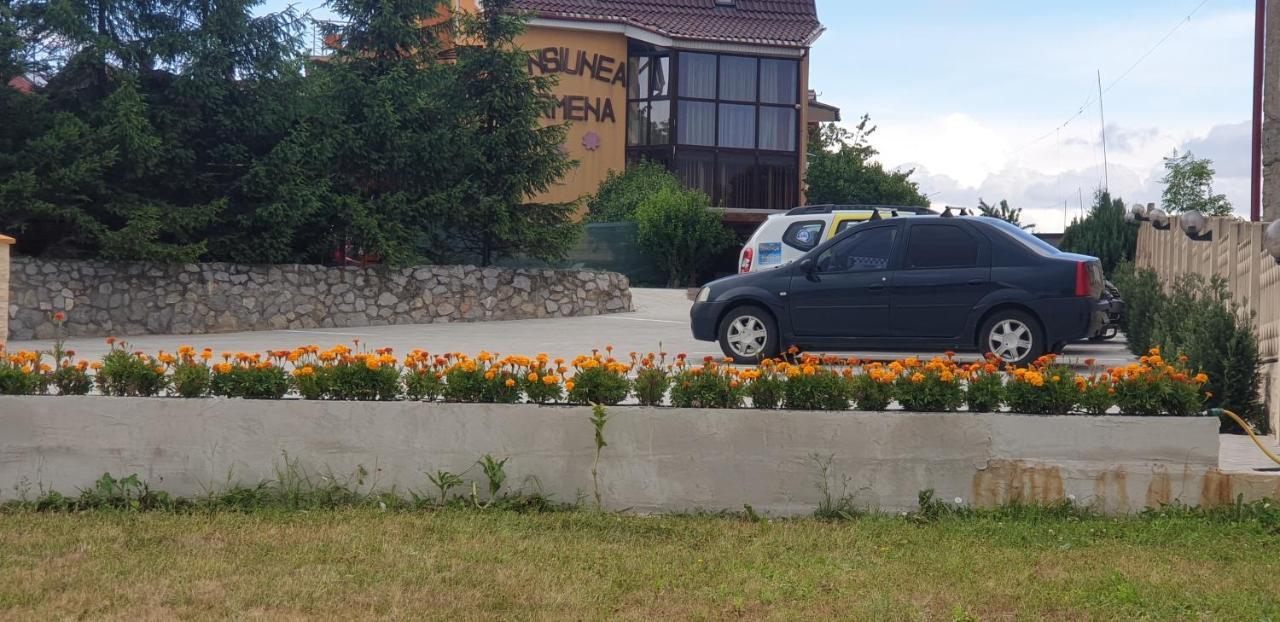 Băile Felix 卡梅纳旅馆酒店 外观 照片